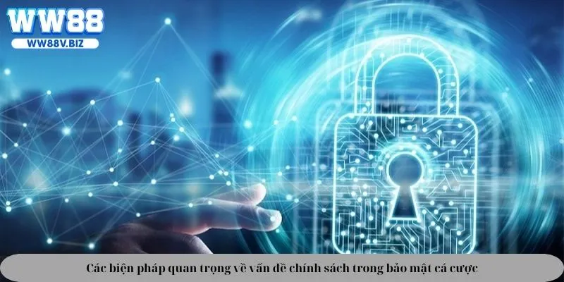 Các biện pháp quan trọng về vấn đề chính sách trong bảo mật cá cược