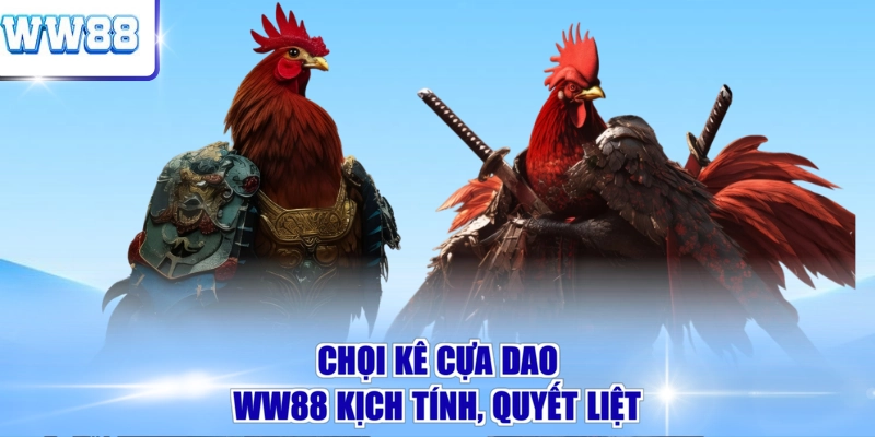 Chọi kê cựa dao WW88 kịch tính, quyết liệt