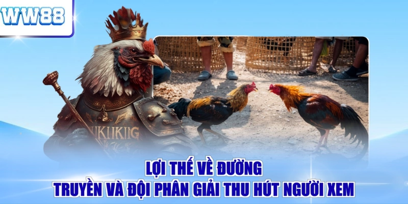 Lợi thế về đường truyền và đội phân giải thu hút người xem