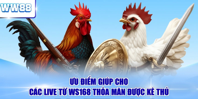 Ưu điểm giúp cho các live từ WS168 thỏa mãn được kê thủ