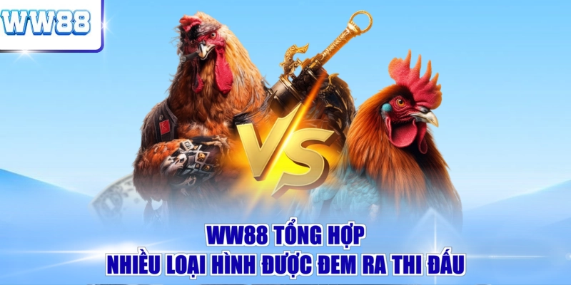 WW88 tổng hợp nhiều loại hình được đem ra thi đấu